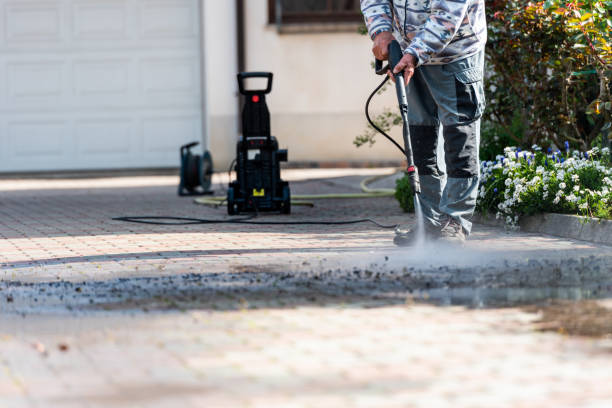 Best Best Pressure Washing Companies  in Pistakee Highlands, IL